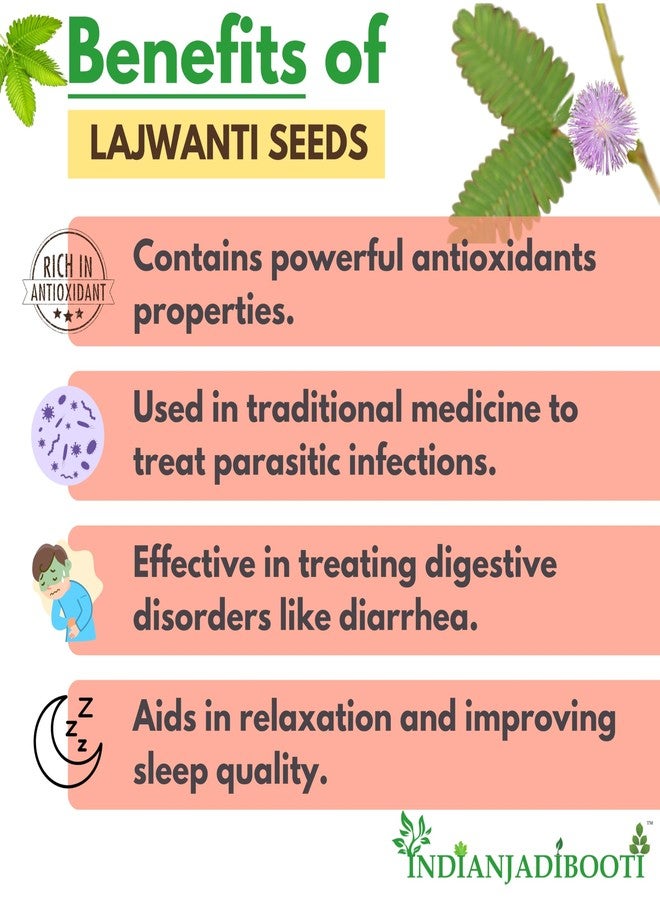 IndianJadiBooti Lajwanti Seeds (250g) | Chui Mui/Mimosa Pudica | Lajjalu | Natural Cooling Herb for Vitality & Men's Wellness | Touch-Me-Not Plant Seeds - Image 3